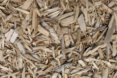 biomass boilers Ashley Dale
